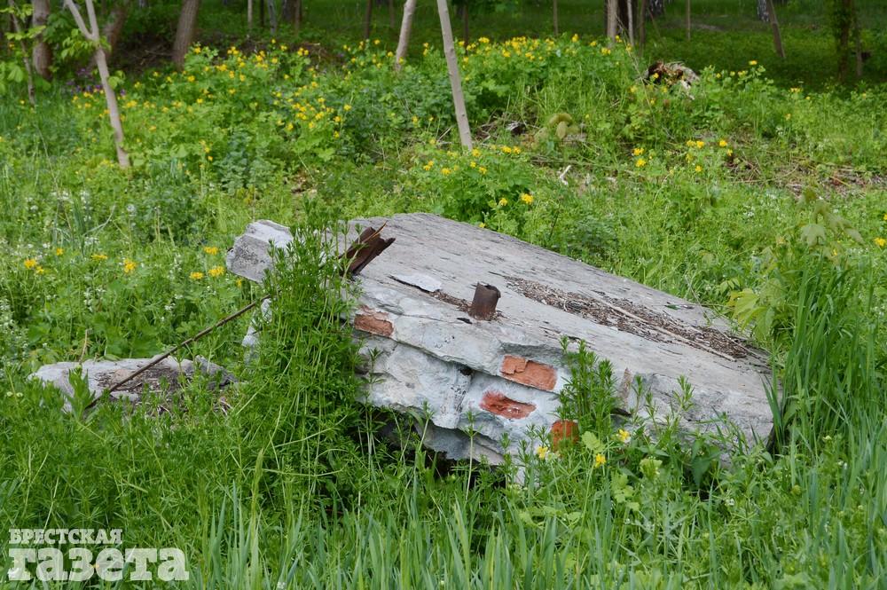 Сквер на Папанина в Бресте 13 мая 2020 года. Автор фото: . Эксклюзивно для "Брестской газеты"