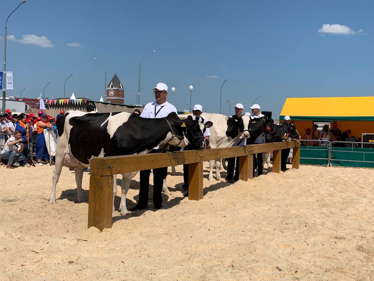 Конкурсантки на финальном этапе мероприятия. Фото: тг-канал «Минсельхозпрод Беларуси»