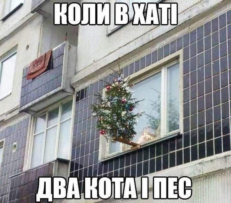 Мем