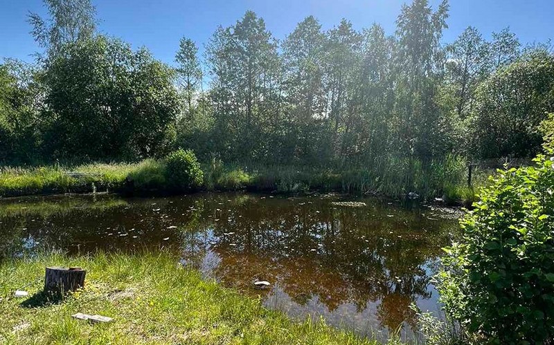 Пруд, в котором утонул мужчина в Барановичском районе