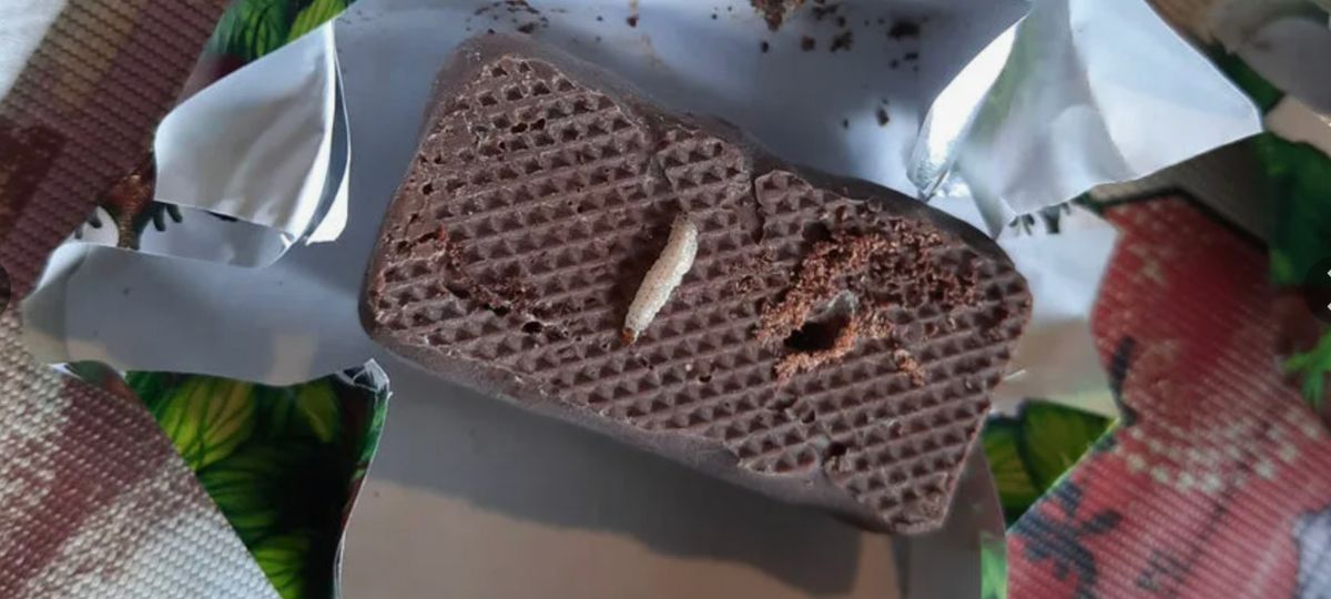 Конфета, личинки, шоколад