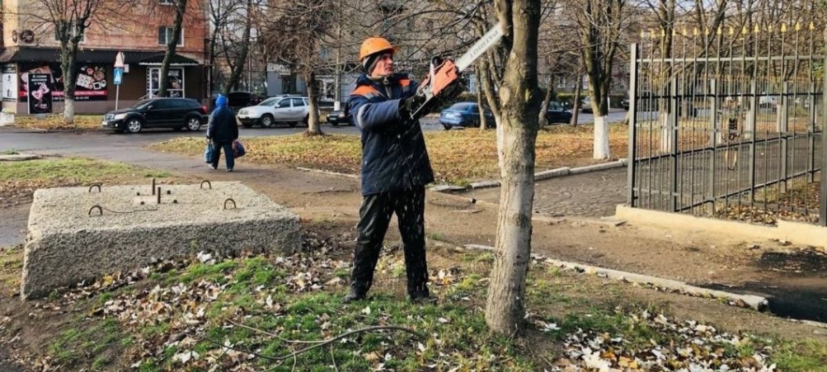 Удаление деревьев, деревья, улица