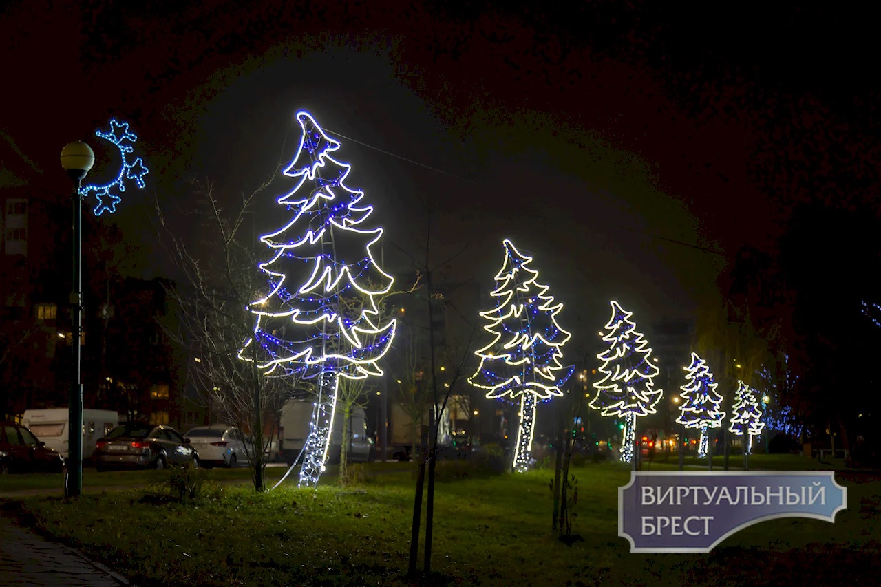 Светящиеся ели в Парке Мира в Бресте.