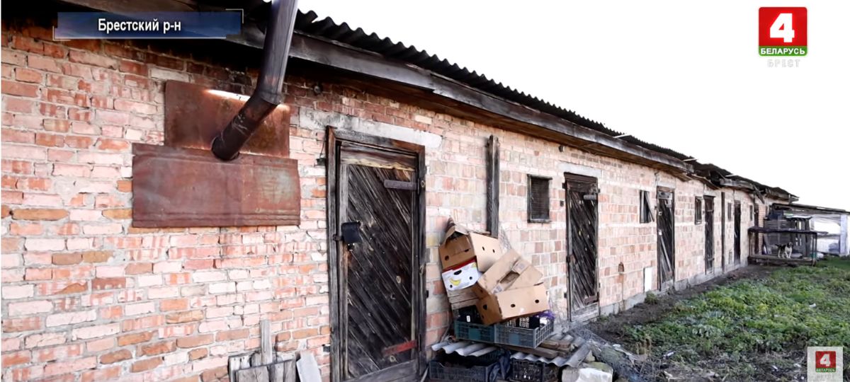 Сараи, Тельмы, спор