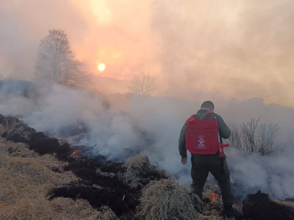 пожар из-за пала травы