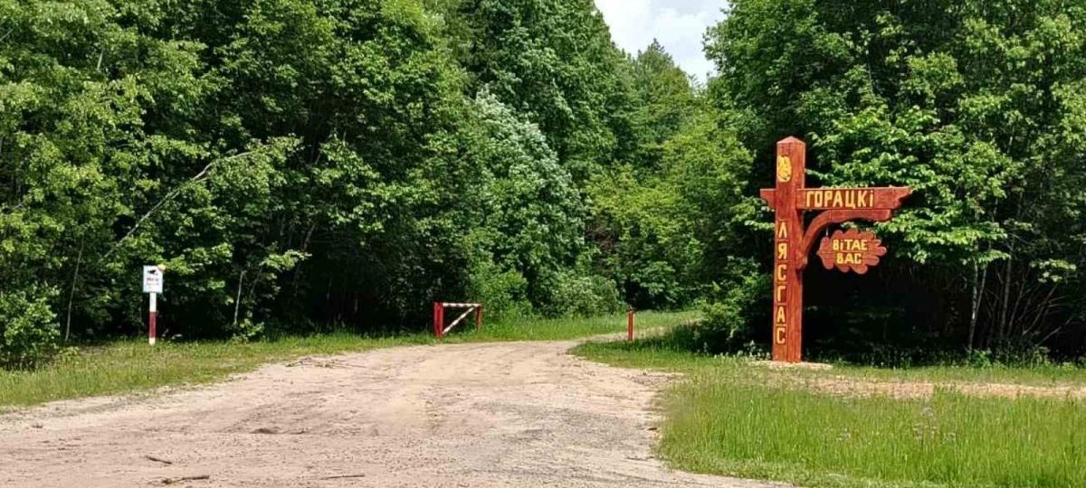 лясная гаспадарка лесагаспадарка лесгас