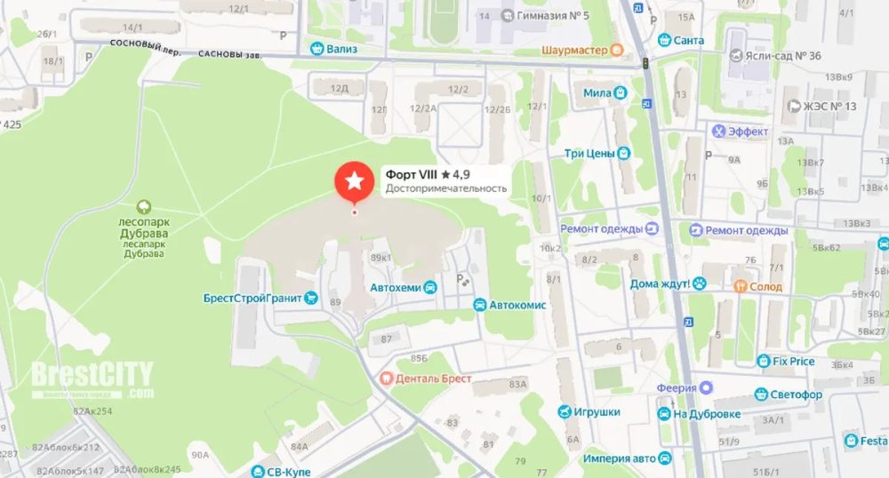 Дубровенский лесопарк, который хотят превратить в парк. Скриншот яндекс-карт